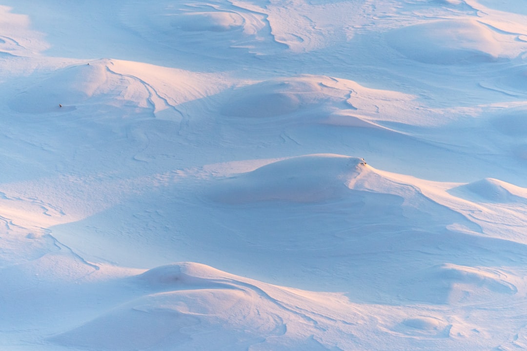 Photo Snow squall: Blizzard